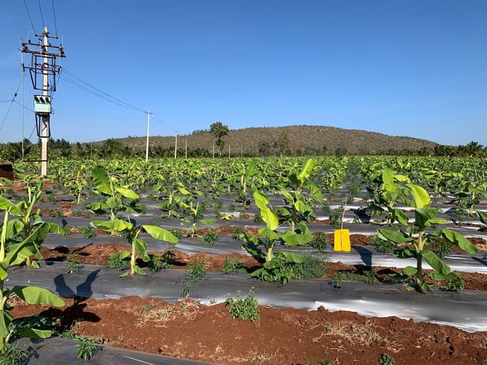 Cycle 1 farm photograph 3 of 25