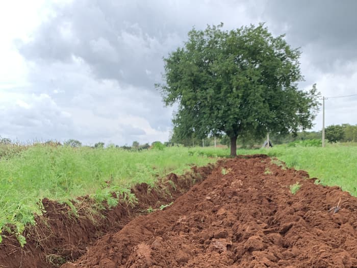 Cycle 3 farm photograph 2 of 14